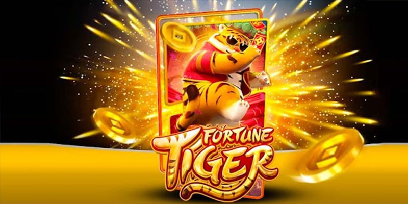 Quem é o Fortune Tiger 567win